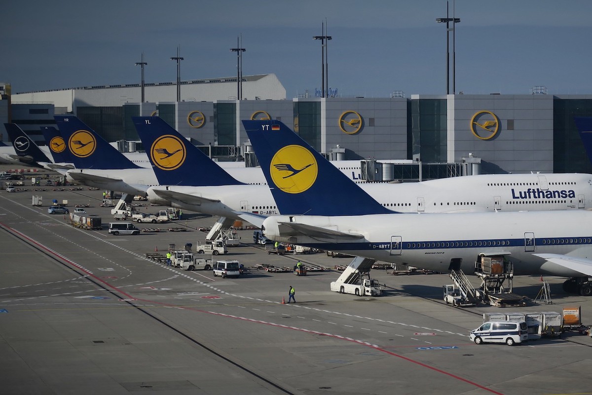 Lufthansa tails at Frankfurt Airport