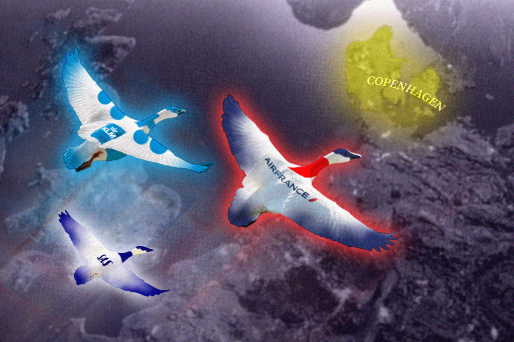 An illustration showing AF-KLM and SAS as birds.